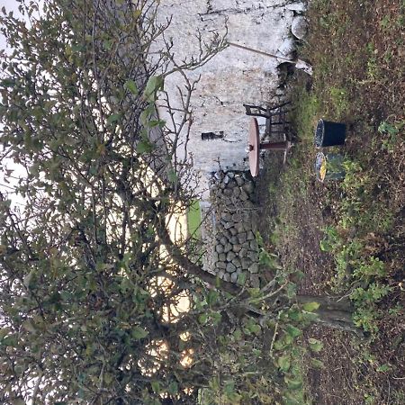 Littles Cottage, Heart Of The Mournes Annalong Dış mekan fotoğraf