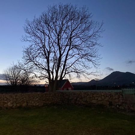 Littles Cottage, Heart Of The Mournes Annalong Dış mekan fotoğraf