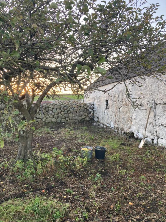 Littles Cottage, Heart Of The Mournes Annalong Dış mekan fotoğraf