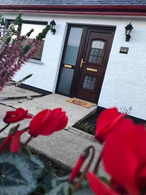 Littles Cottage, Heart Of The Mournes Annalong Dış mekan fotoğraf